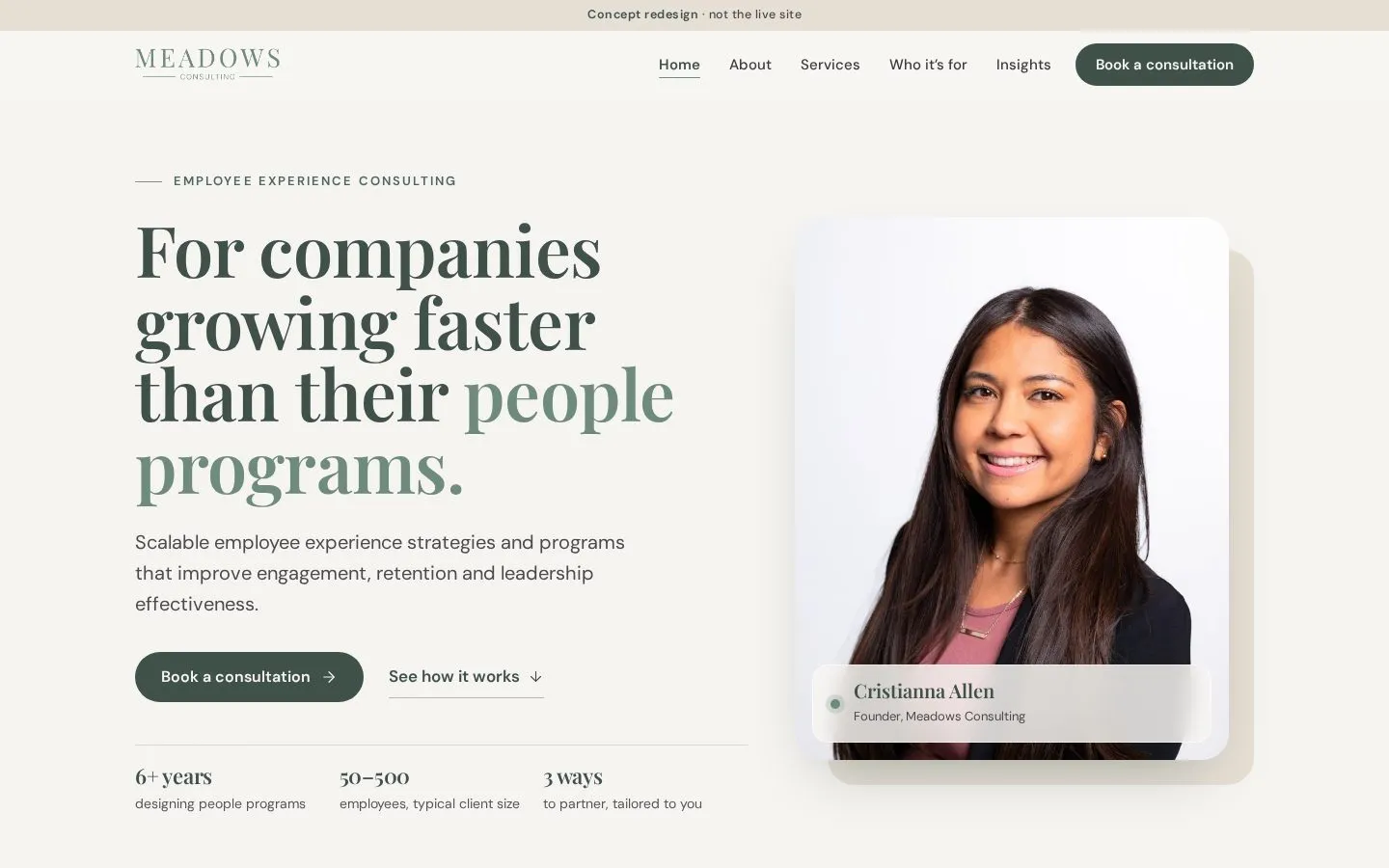 Meadows Consulting: Home page
