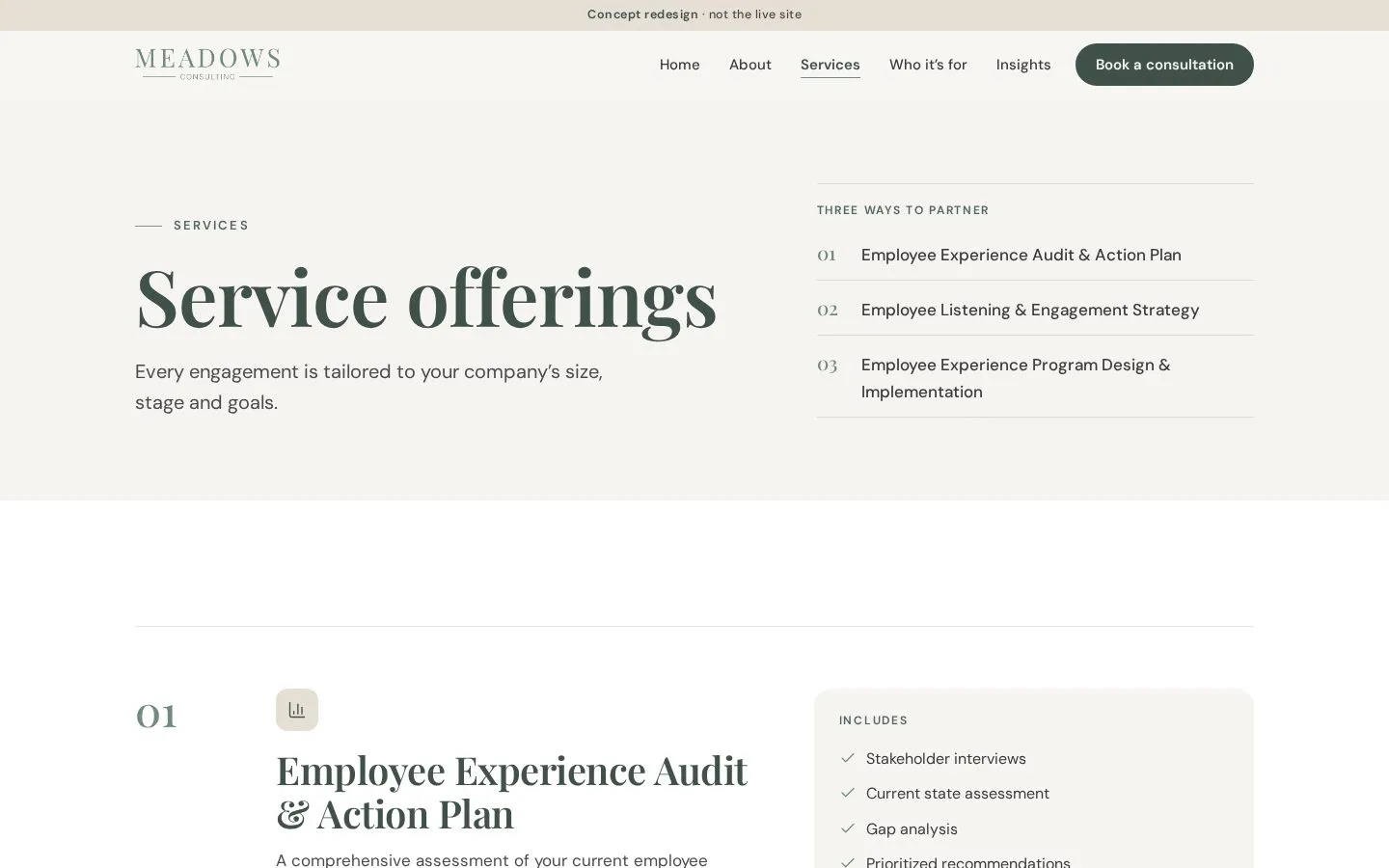 Meadows Consulting: Services page
