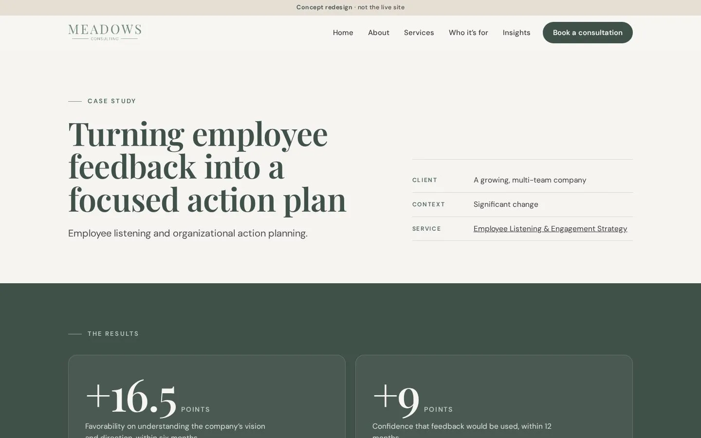 Meadows Consulting: Case study page